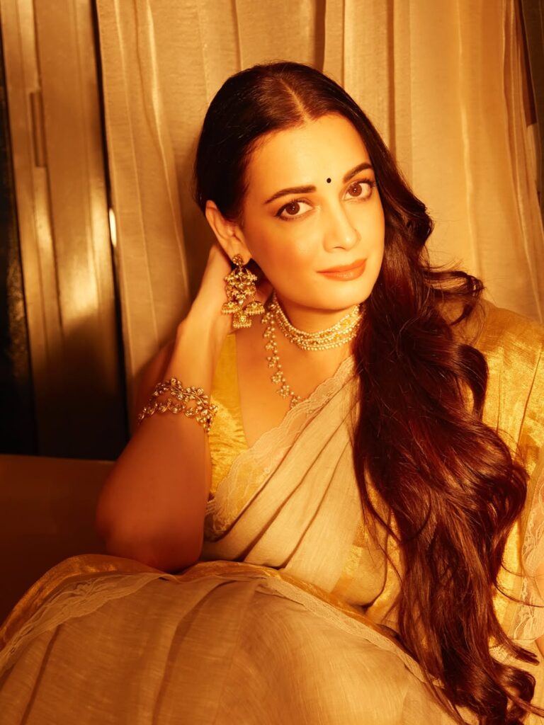 Dia Mirza sari look