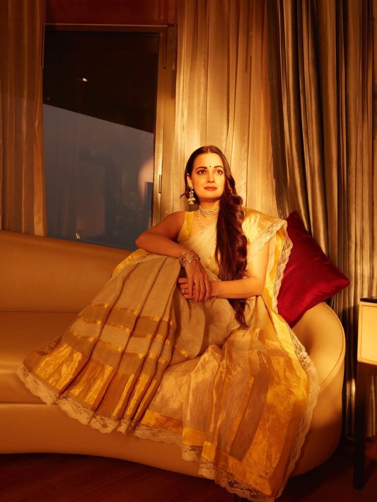 Dia Mirza sari look