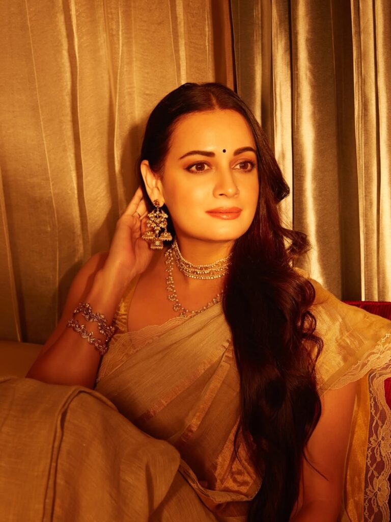 Dia Mirza sari look