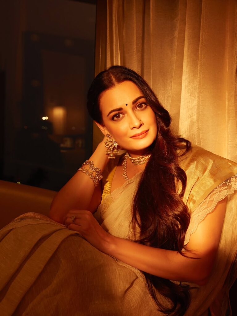 Dia Mirza sari look